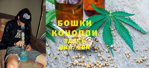 хмурый Горняк