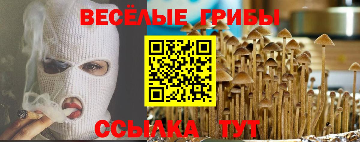 хочу наркоту  Галлюциногенные грибы GOLDEN TEACHER  Вход с VPN  Псилоцибиновые грибы мицелий  Сальск 