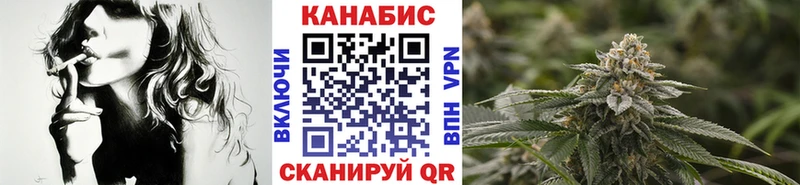 где найти наркотики  Сальск  Конопля план 